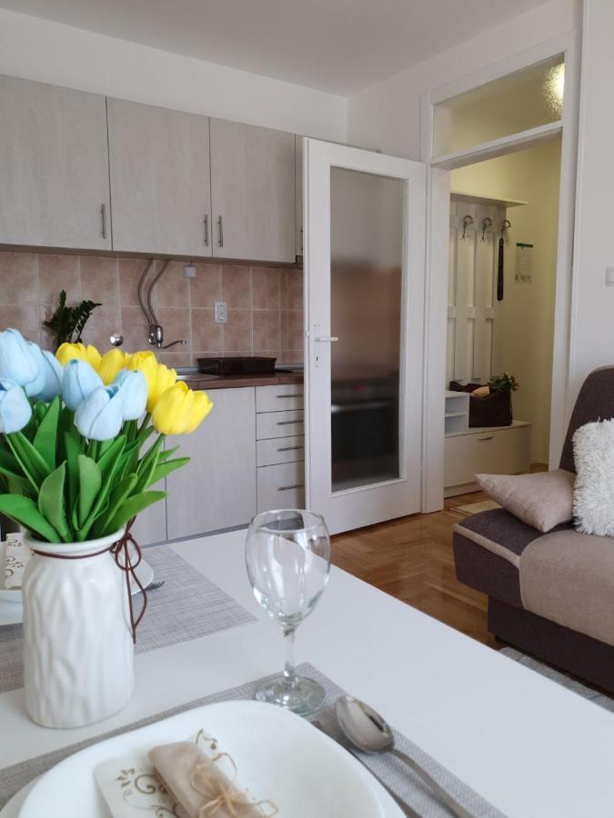 Apartman Centar Appartement Novi Sad Buitenkant foto