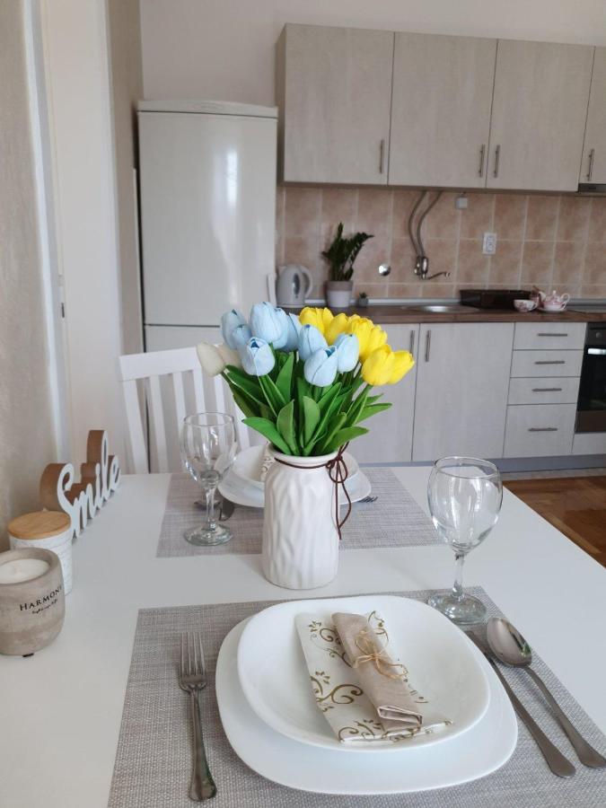 Apartman Centar Appartement Novi Sad Buitenkant foto